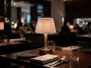 lily dark brass cordless mini lamp for hospitality restaurant design