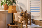 mini buffet black cordless lamp with frenchie