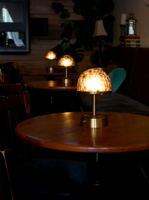 tortoise glass deco cordless mini lamp for restaurant dining