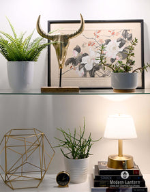 mini brass battery lamp by modern lantern