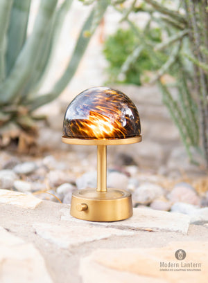 tortoise glass designer lamp by modern lantern